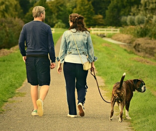 Man and woman walk dog