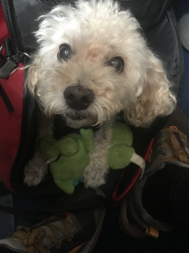 Brady Under Seat