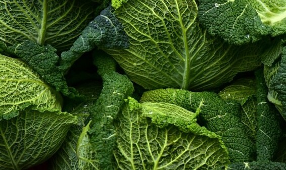 greens