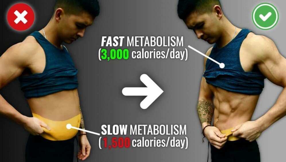 Faster Metabolism