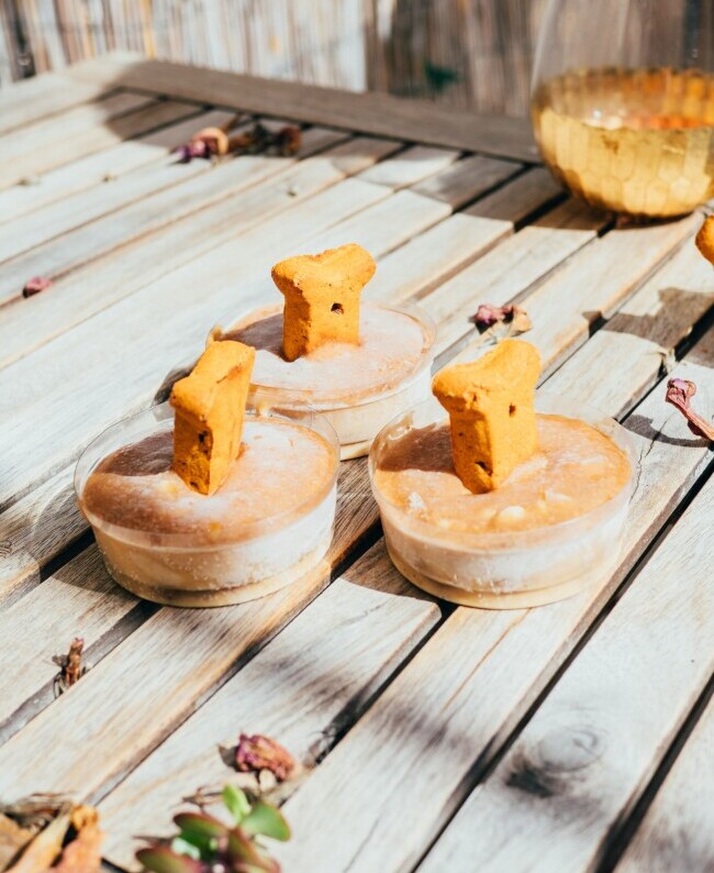 Dog treat 