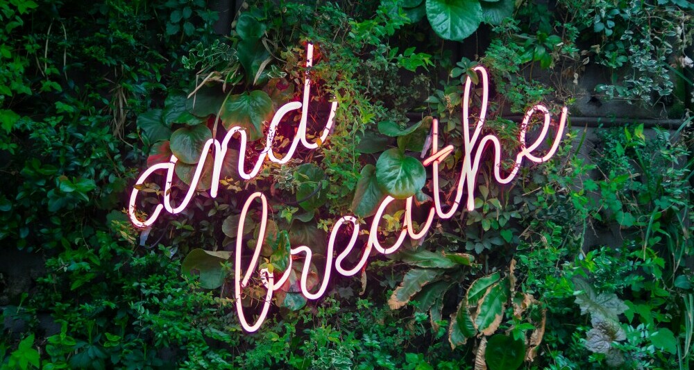 The words - and breathe written with light and placed in a bushy hedge