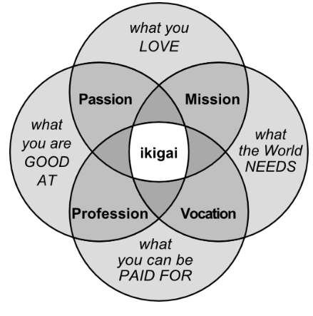 An image of the IKIGAI concept