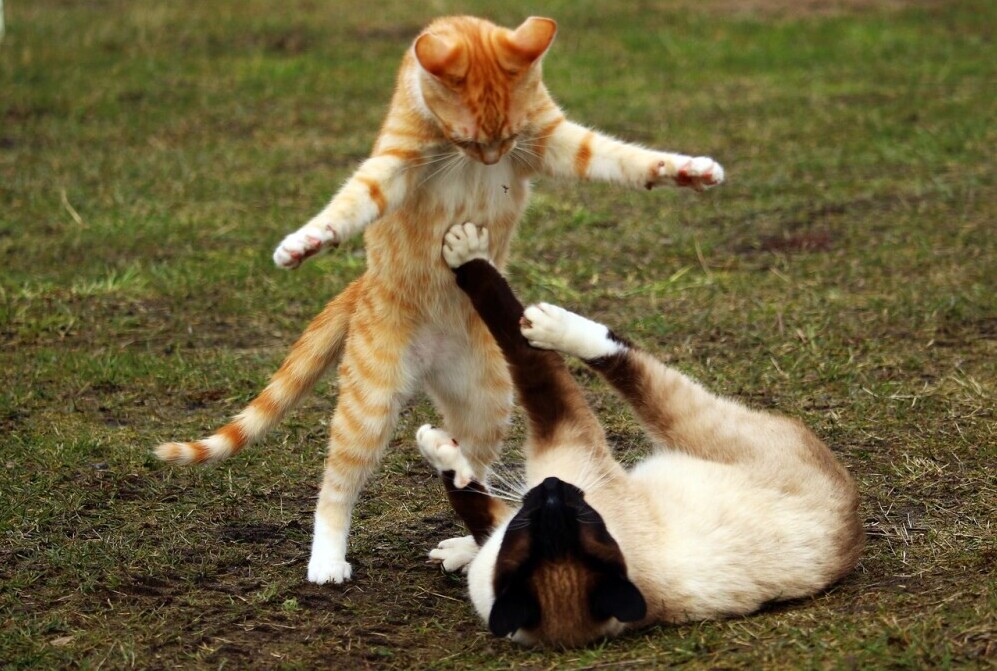 Attack your problems from Multiple angles 