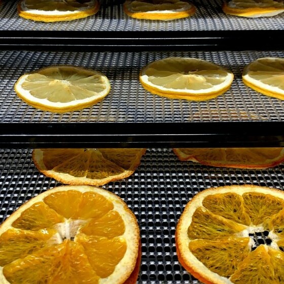 3D0A5Add9E594E4838B210C21E1F70941712917312 Cropped Shakesipserve How To Make Dried Citrus Garnishes For Cocktails