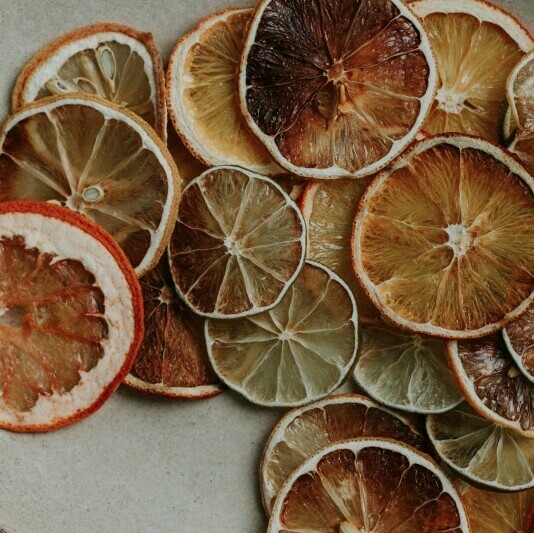 Cocktails With Dried Citrus Garnishes