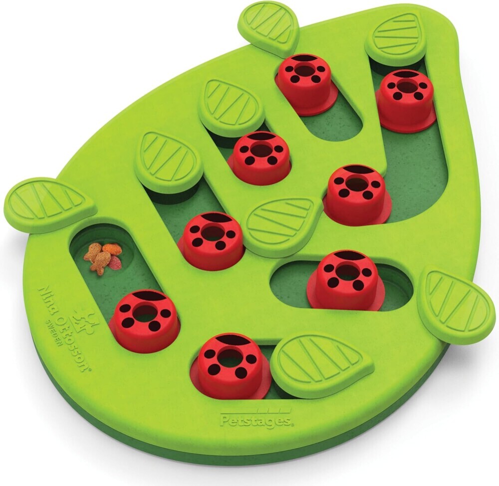 Catstages Buggin Out Puzzle Toy
