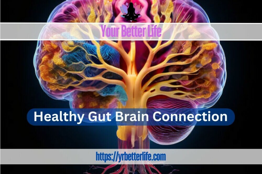 Healthy Gut Brain Connection