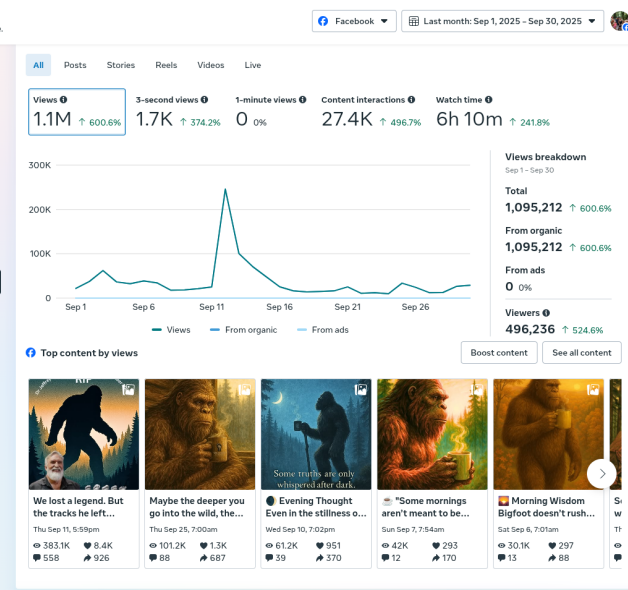 hitting 1M views in 28 days