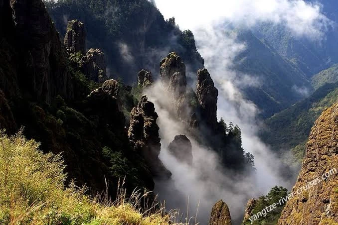 The remote, fog-covered peaks of the Shennongjia Reserve in central China.. Source: Yangtze River Cruises