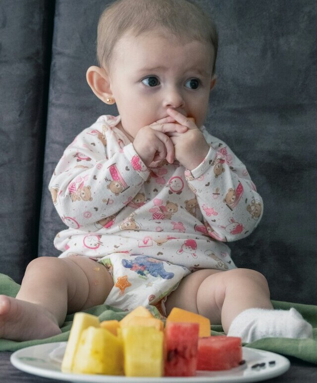 Colorful plate of infant-friendly solid foods