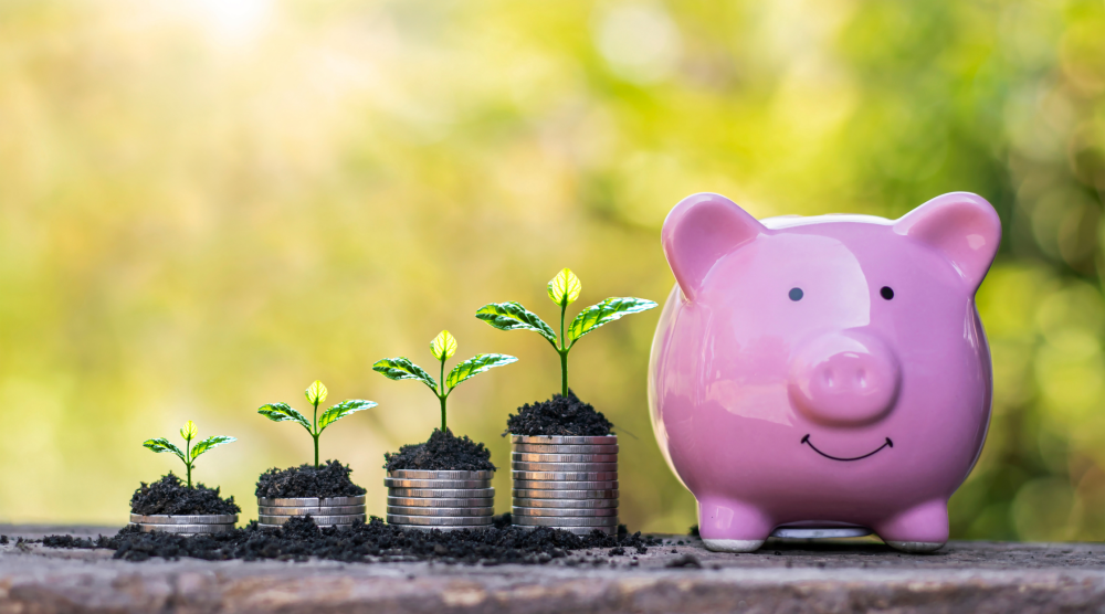 Affiliate marketing growth concept – small plants growing from stacks of coins next to a pink piggy bank, symbolizing earning passive income on a budget.