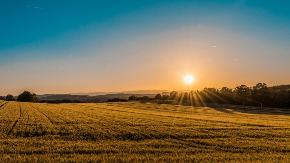 10 Soul Soothing Quotes