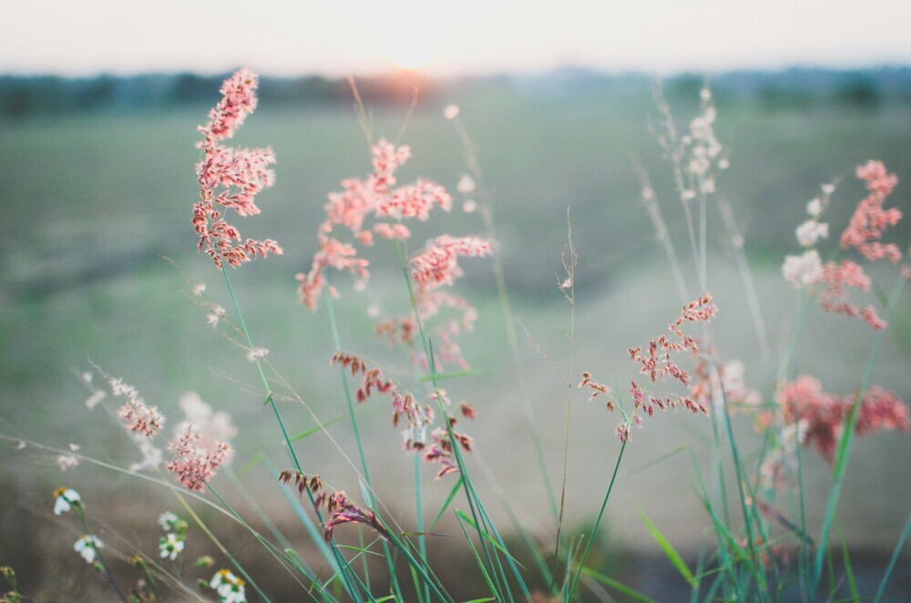 10 Soul Soothing Quotes