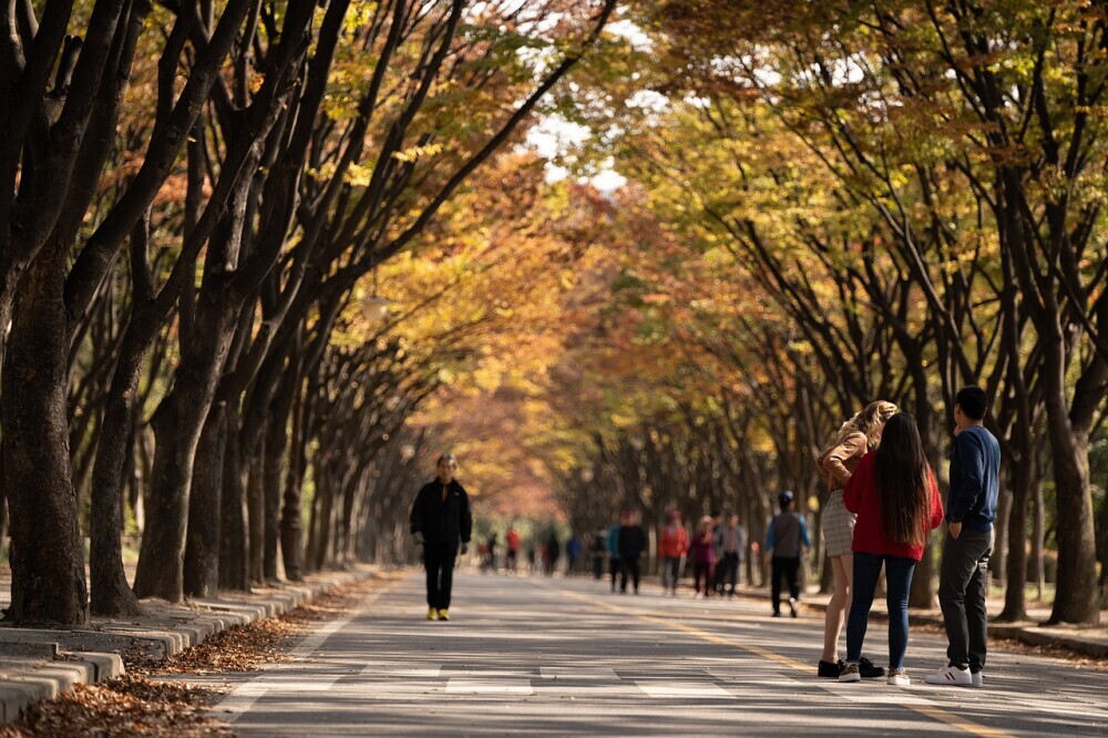 City Breaks For Midlife Women: Quick Escapes For A New Perspective