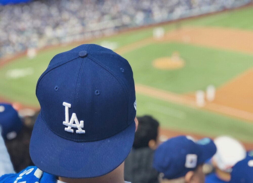 LA Dodgers Game image