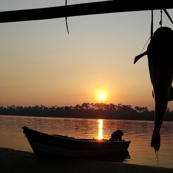 fishing boat on the water during sunset with a hanging fish