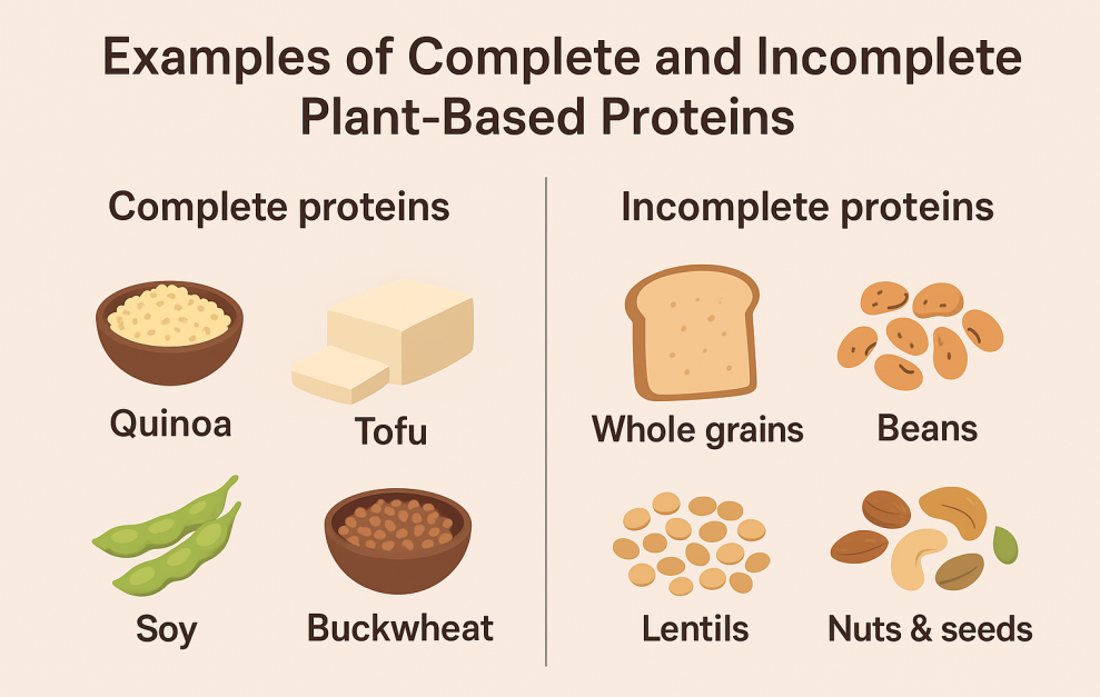 Examples of Complete & Incomplete Plant Based Proteins