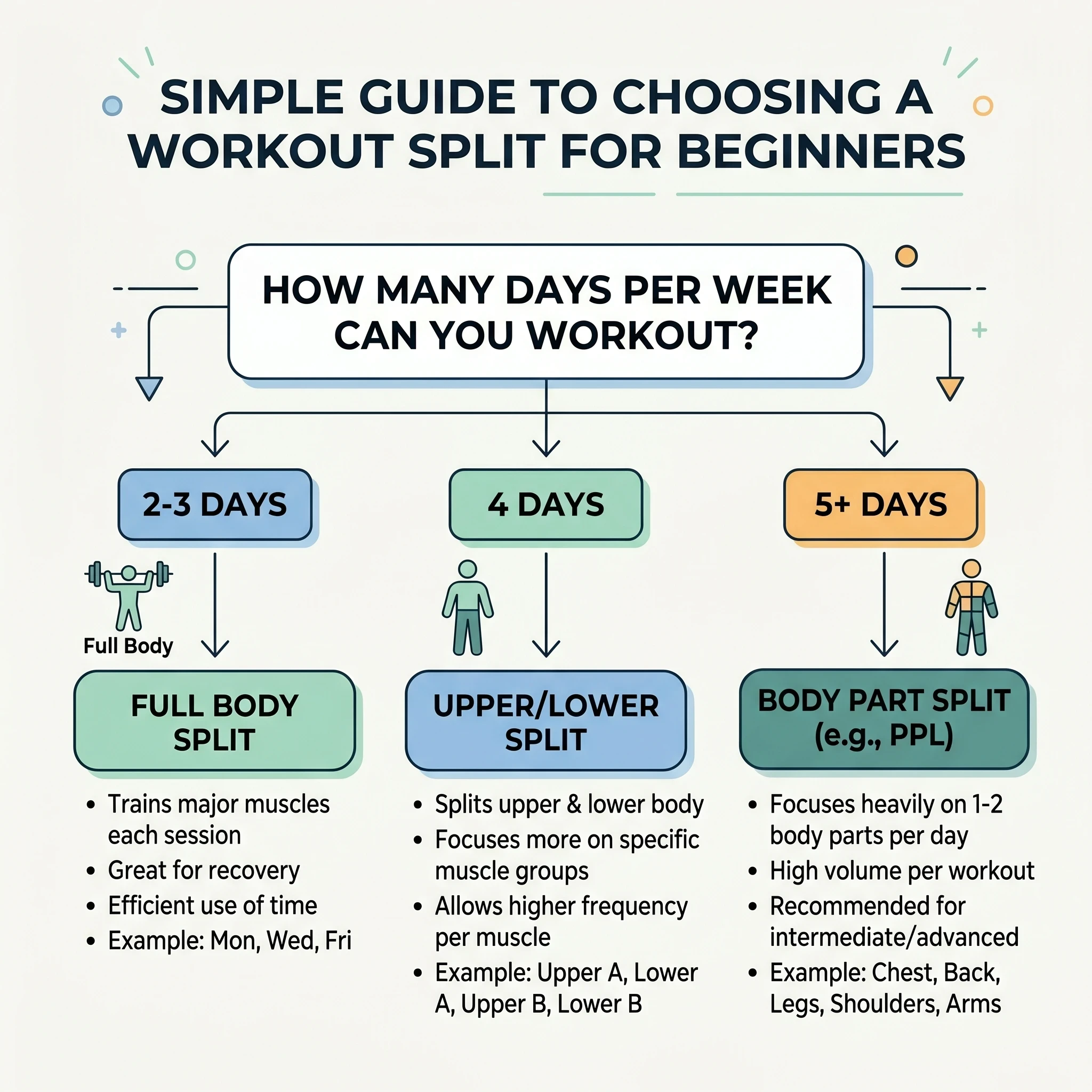 How to choose workout split for beginners with a simple decision rule chart