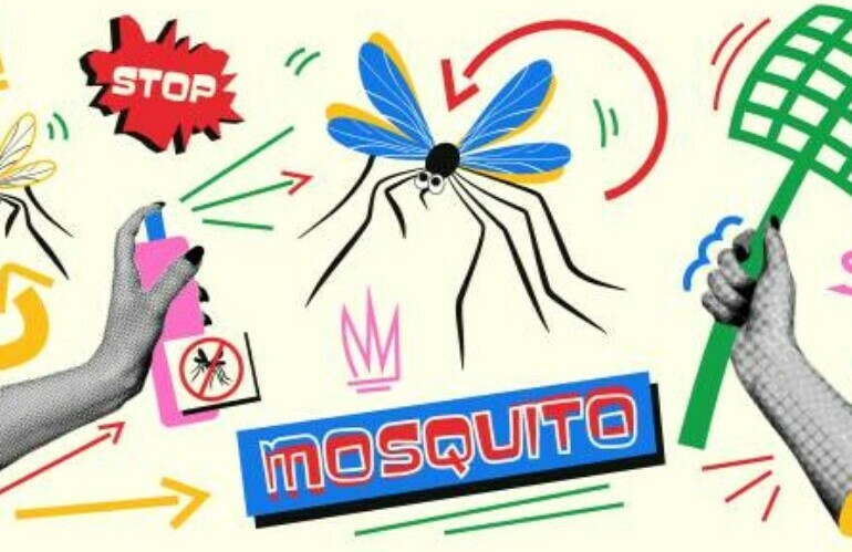 best way to get rid of mosquitoes indoors