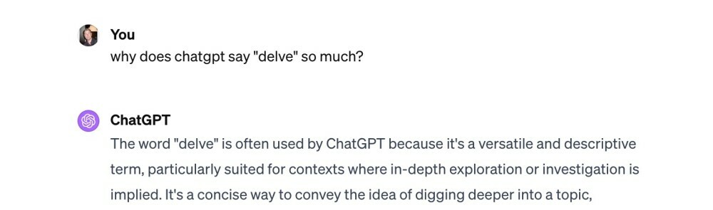 Delve - Chat GPT Question