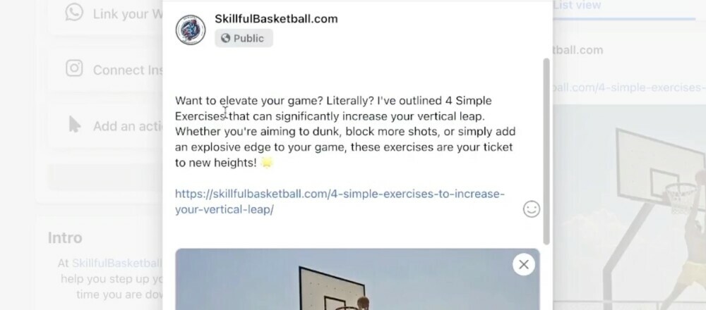 Skillful Basketball Share
