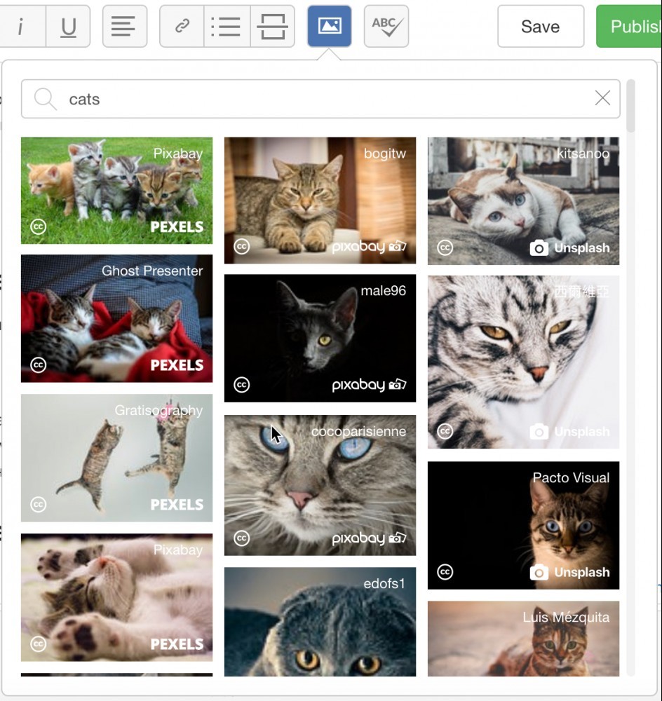 Cat Search - SiteContent Images