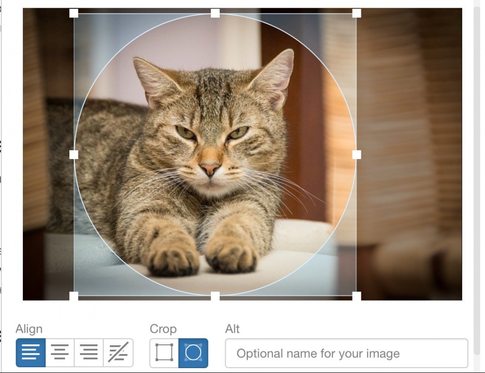 SiteContent Images - Circle Crop Feature