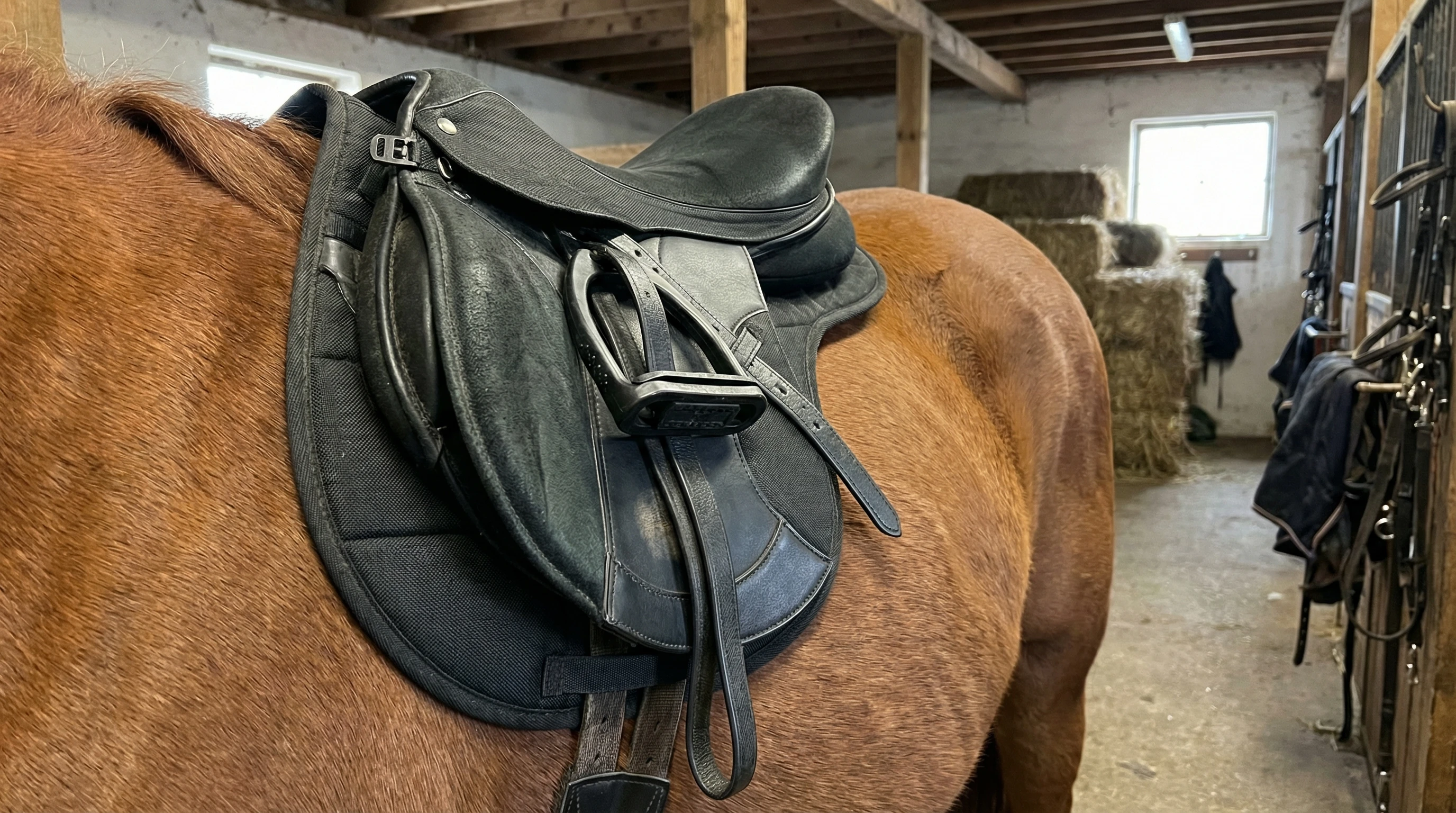 English synthetic saddle on a horse, closeup of lightweight material and saddle detail