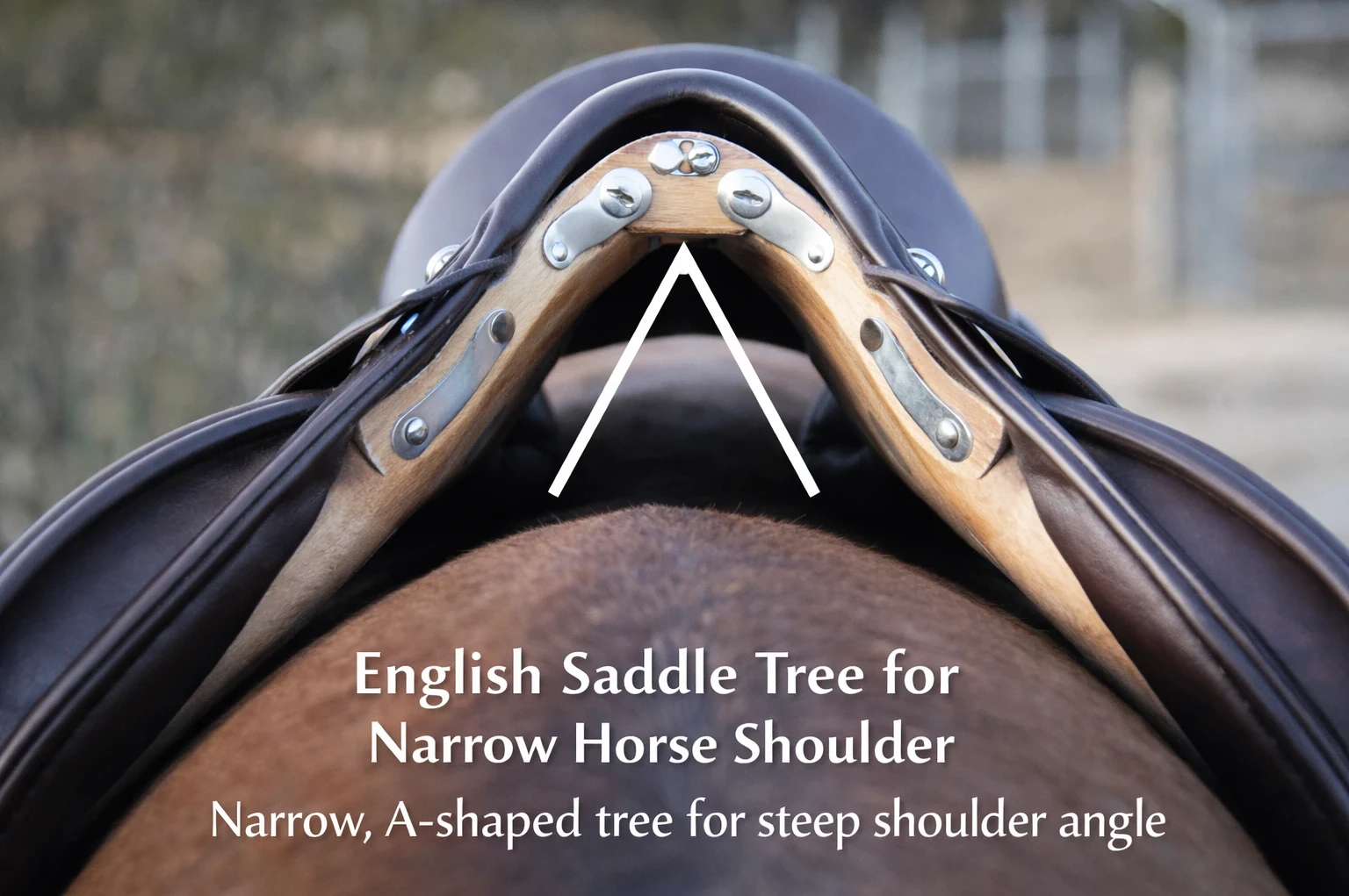 top english saddles for narrow horses