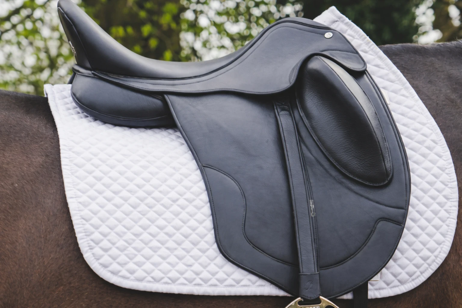 How to choose the right English saddle for my Thoroughbred