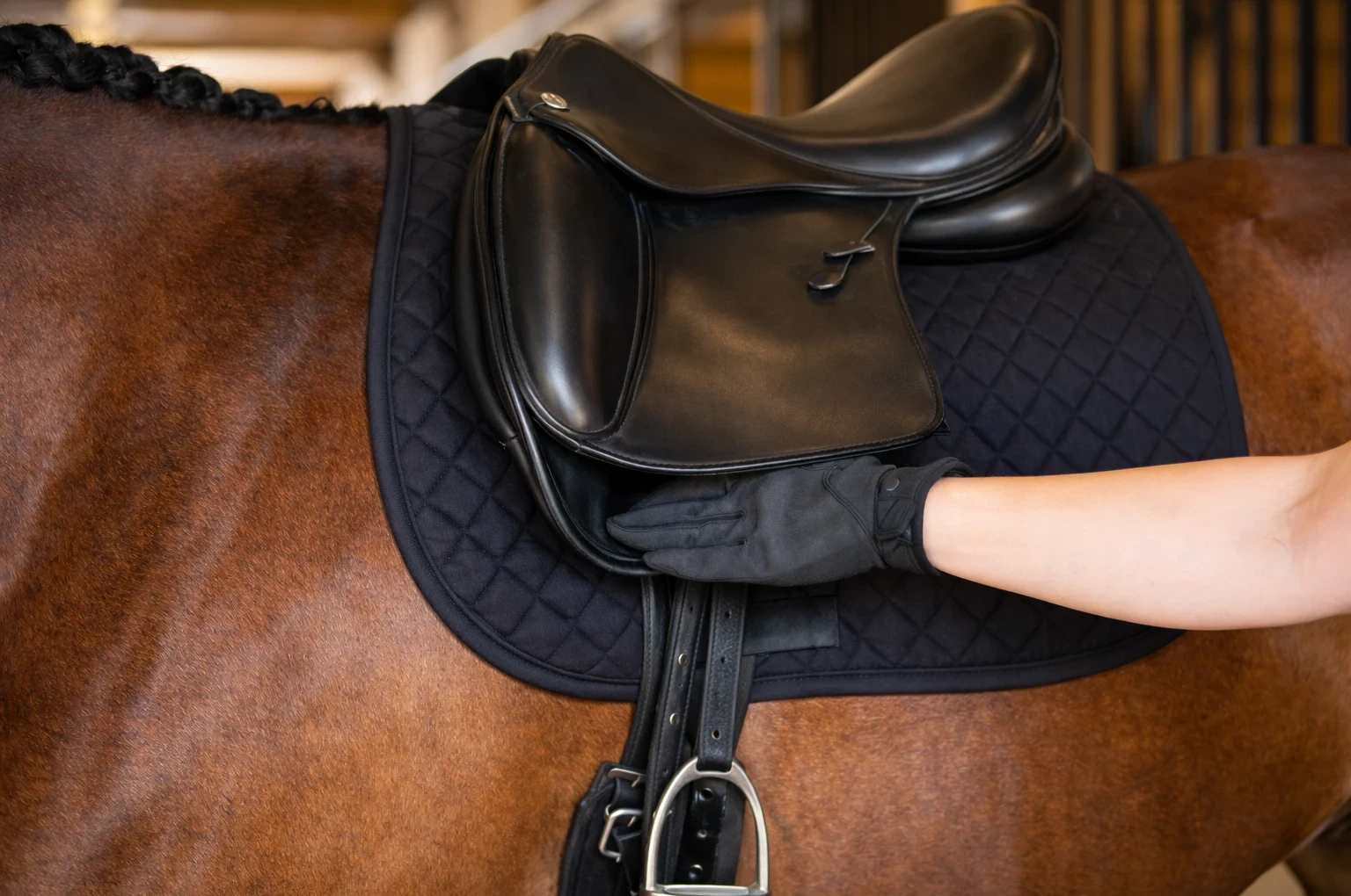 checking dressage saddle panel contact by sliding hand under saddle