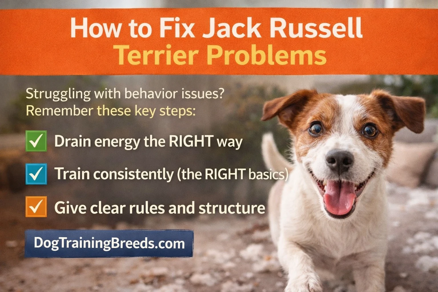 Checklist showing how to fix Jack Russell Terrier behavior problems including exercise, training consistency, and structure