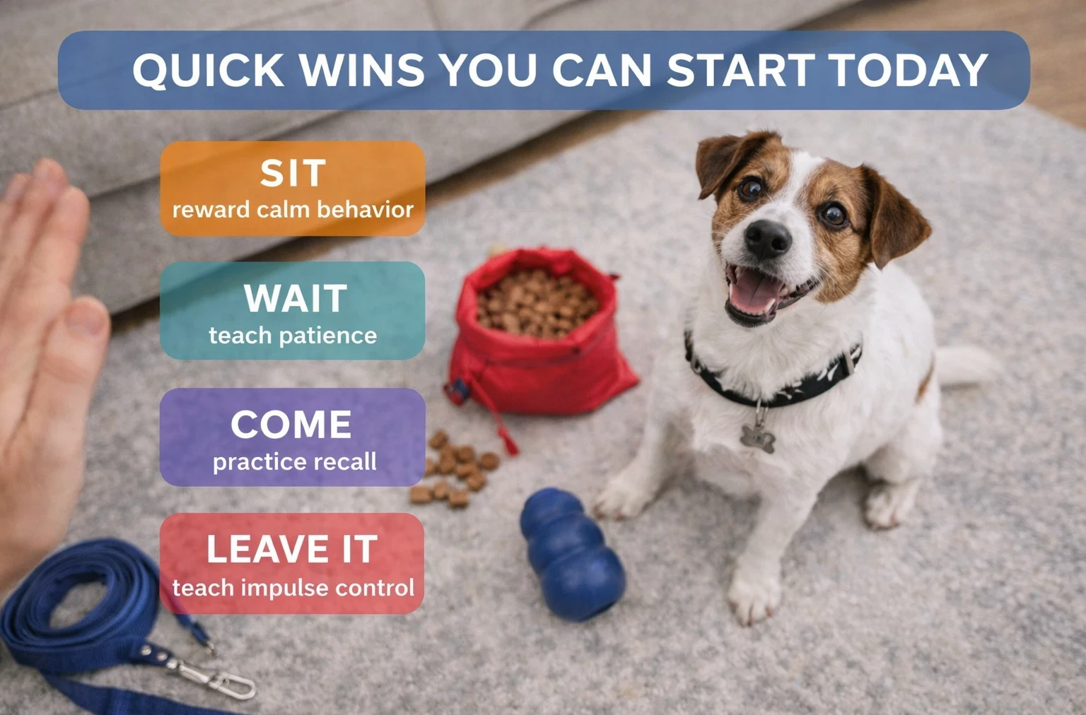 interactive dog toys and enrichment tools for mental stimulation