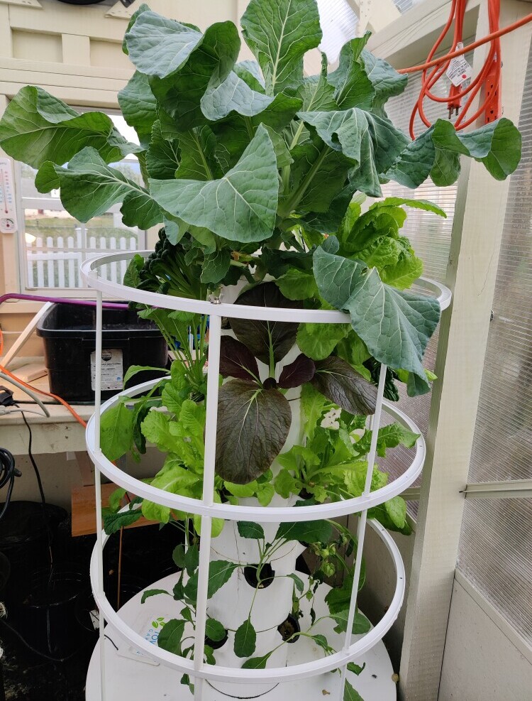 Areoponics feel like you're farming in a NASA lab.