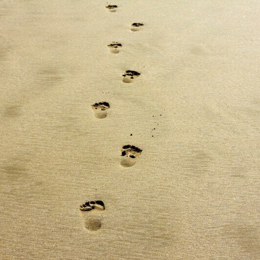 footprints
