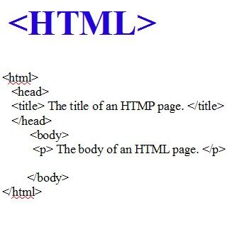 Learn The Basics Of HTML