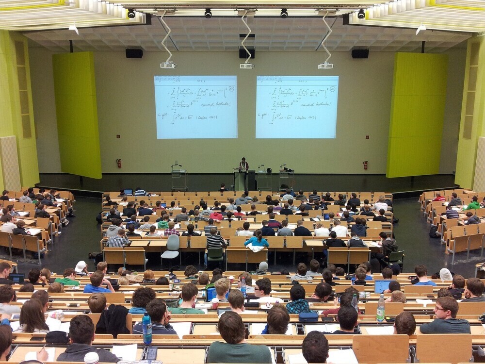 Mental Wellness In College Students