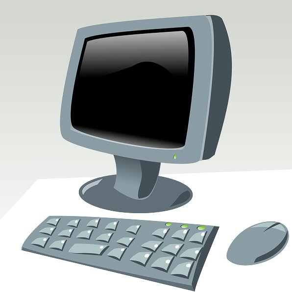 Training Image