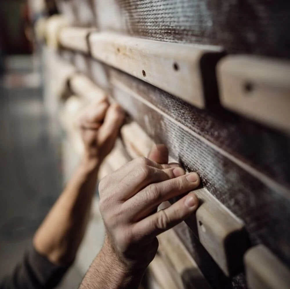 best-hangboards-for-beginners