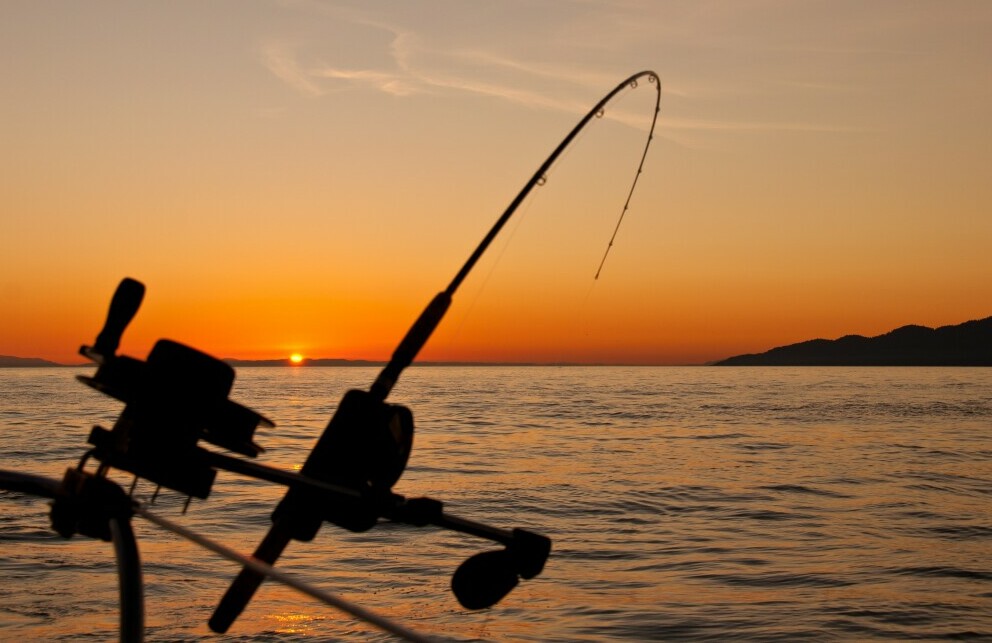 Rod and Reel
