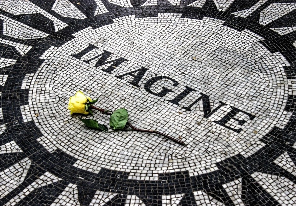 The word imagine and a yellow rose