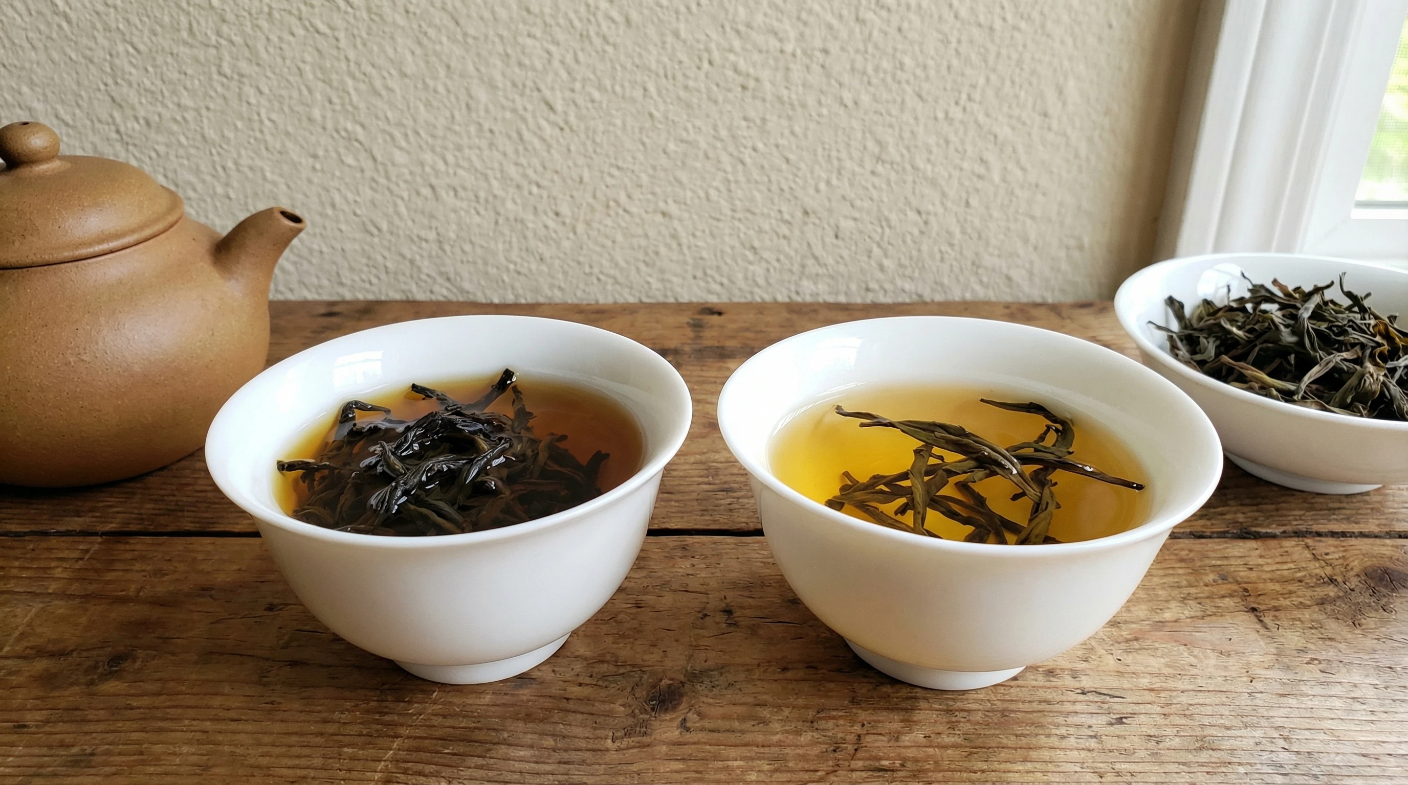 Loose leaf Wuyi Yancha and Dan Cong Oolong in white porcelain cups, showing color difference of infusions