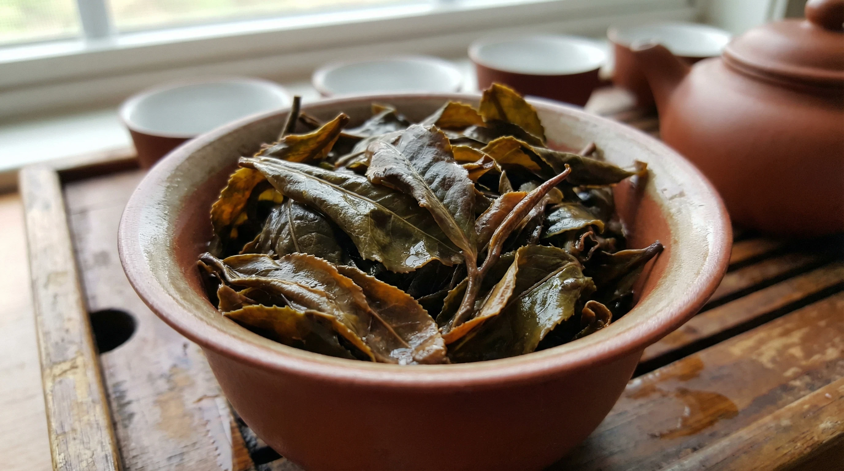 used Wuyi rock oolong tea leaves in a clay bowl ready for brewing
