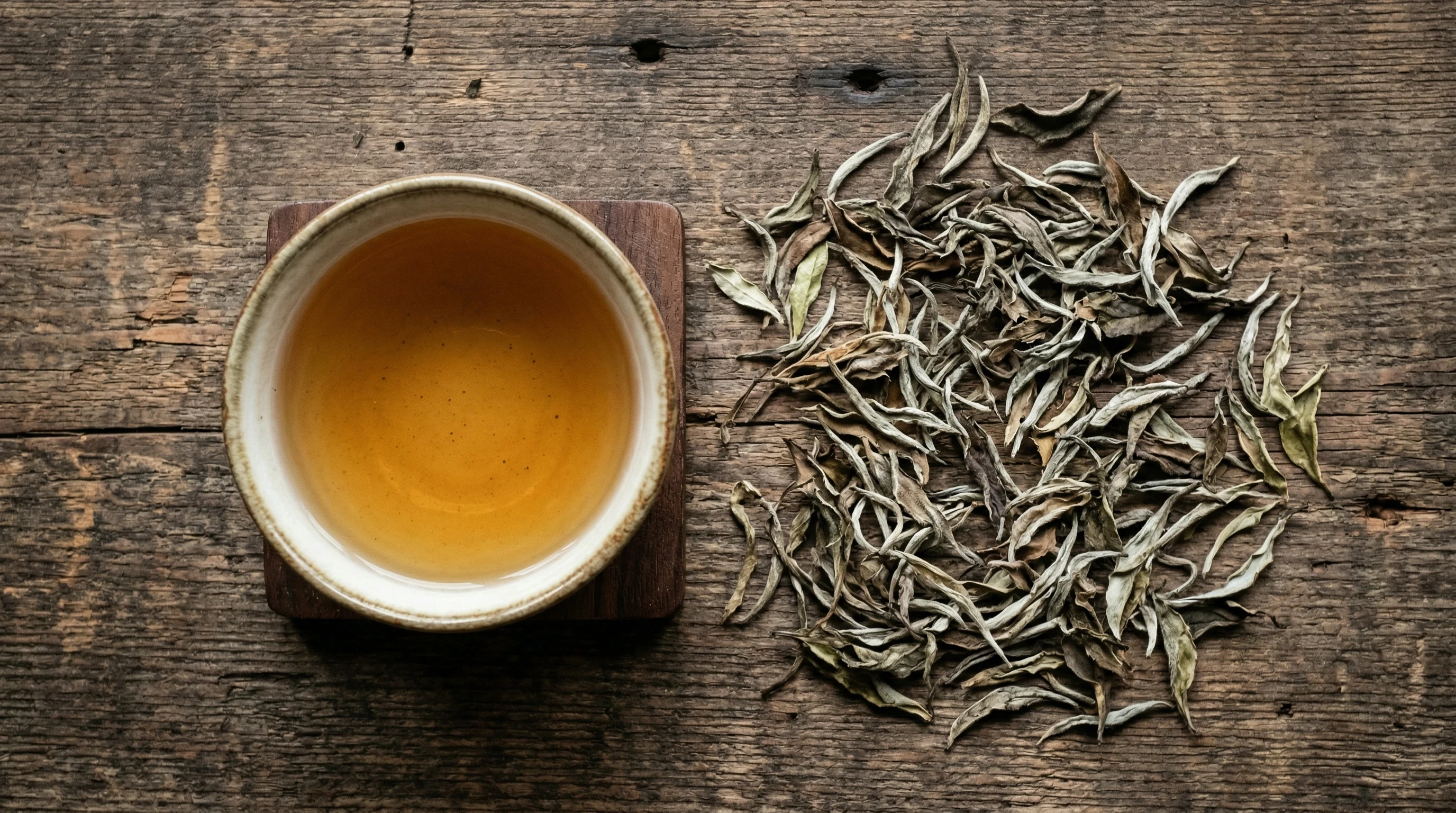 cup of brewed aged white tea with loose silver needle white tea leaves on wooden surface