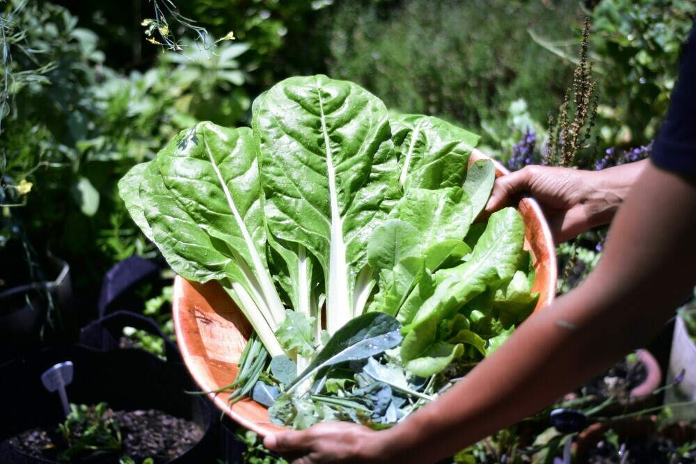 leafy vegetables