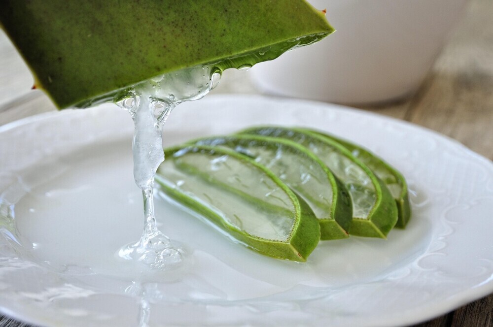 aloe vera on a plate