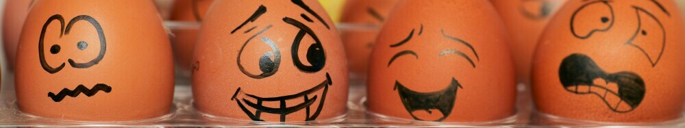 Faces drawn on eggs in order to relate to the mix of emotions found in neurological connections also related to mindfulness.