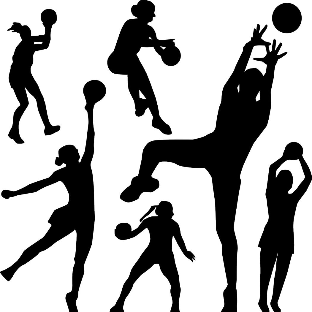 Training Image