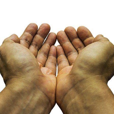 Training Image